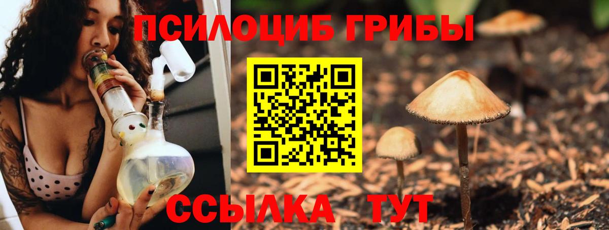 Галлюциногенные грибы мухоморы Канск