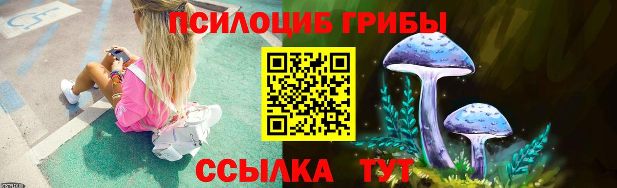 купить закладку  Вход с VPN  Галлюциногенные грибы мухоморы  Канск  Псилоцибиновые грибы Cubensis 