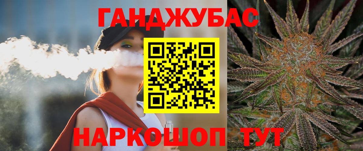 Каннабис планчик  Вход с VPN  Канск  Конопля сатива 